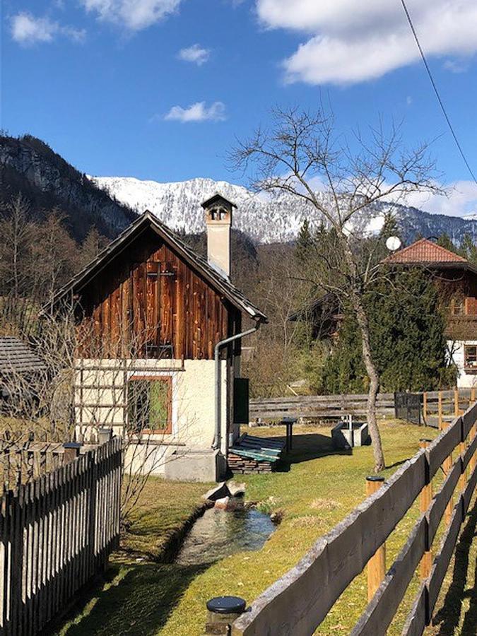 Apartment Goisernperle Bad Goisern Eksteriør billede