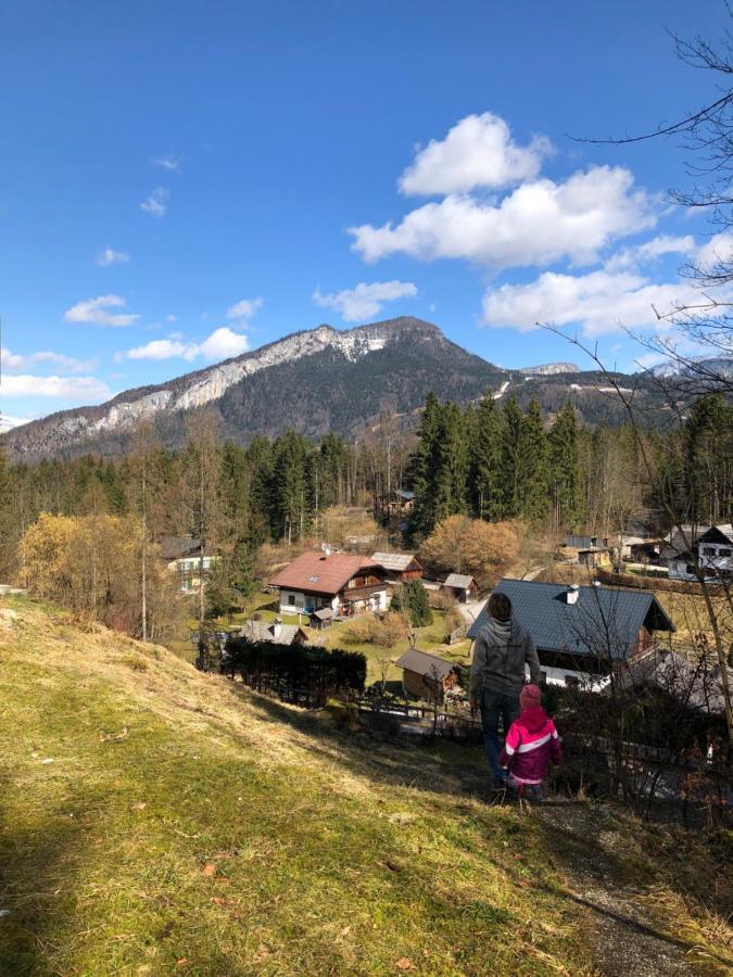 Apartment Goisernperle Bad Goisern Eksteriør billede