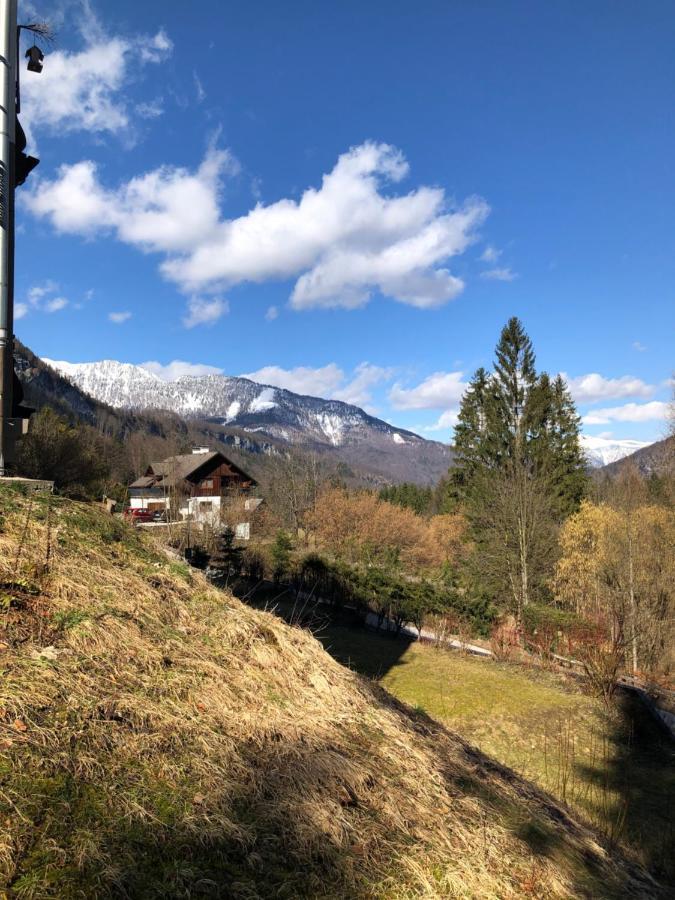 Apartment Goisernperle Bad Goisern Eksteriør billede